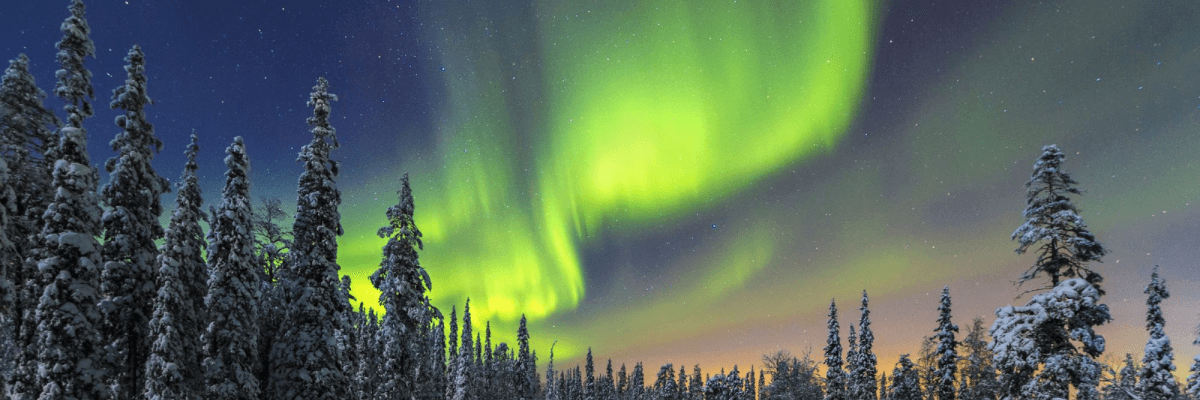 Why You Need to See the Northern Lights in 2024 - 2025